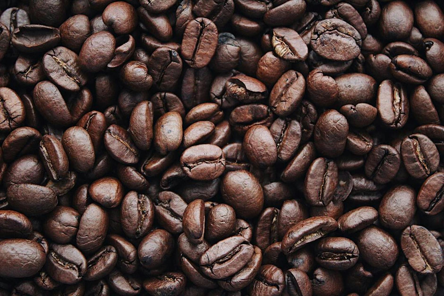 Best Coffee Spots In Galle Where To Find The Perfect Cup
