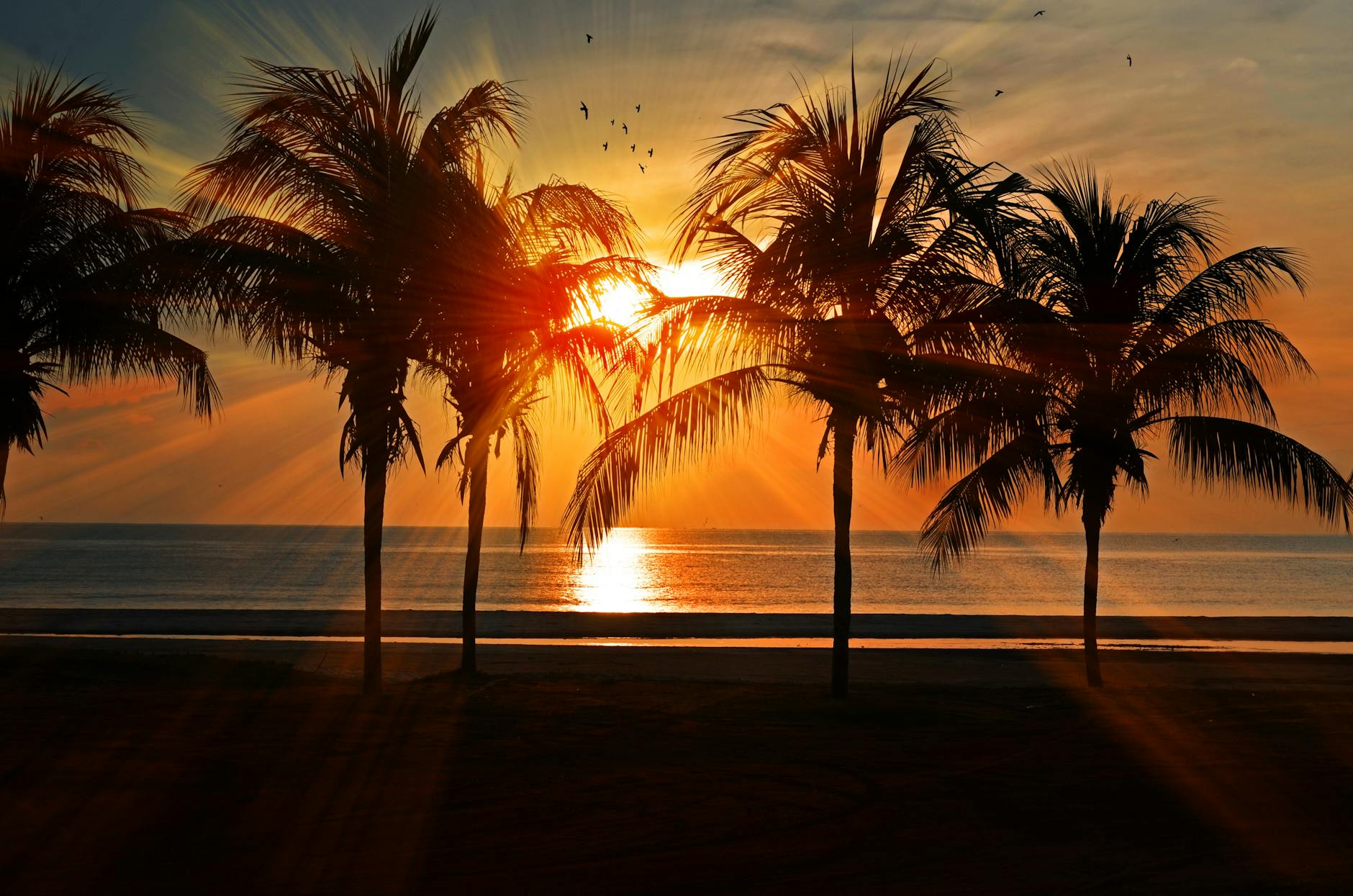 Discovering The Best Sunsets In Sri Lanka