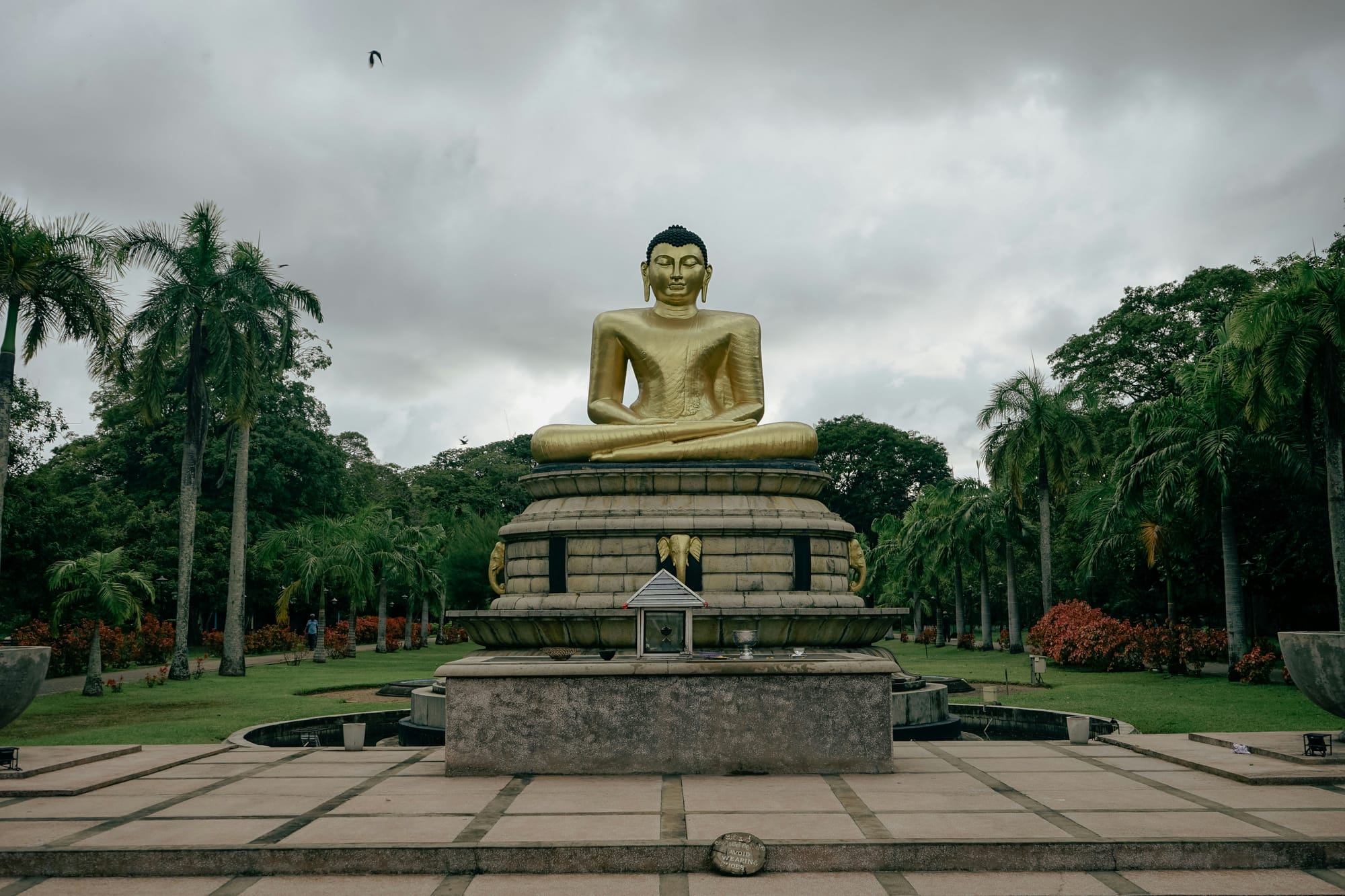 Exploring the Depths of Mindfulness: What Happens at a Vipassana Retreat?