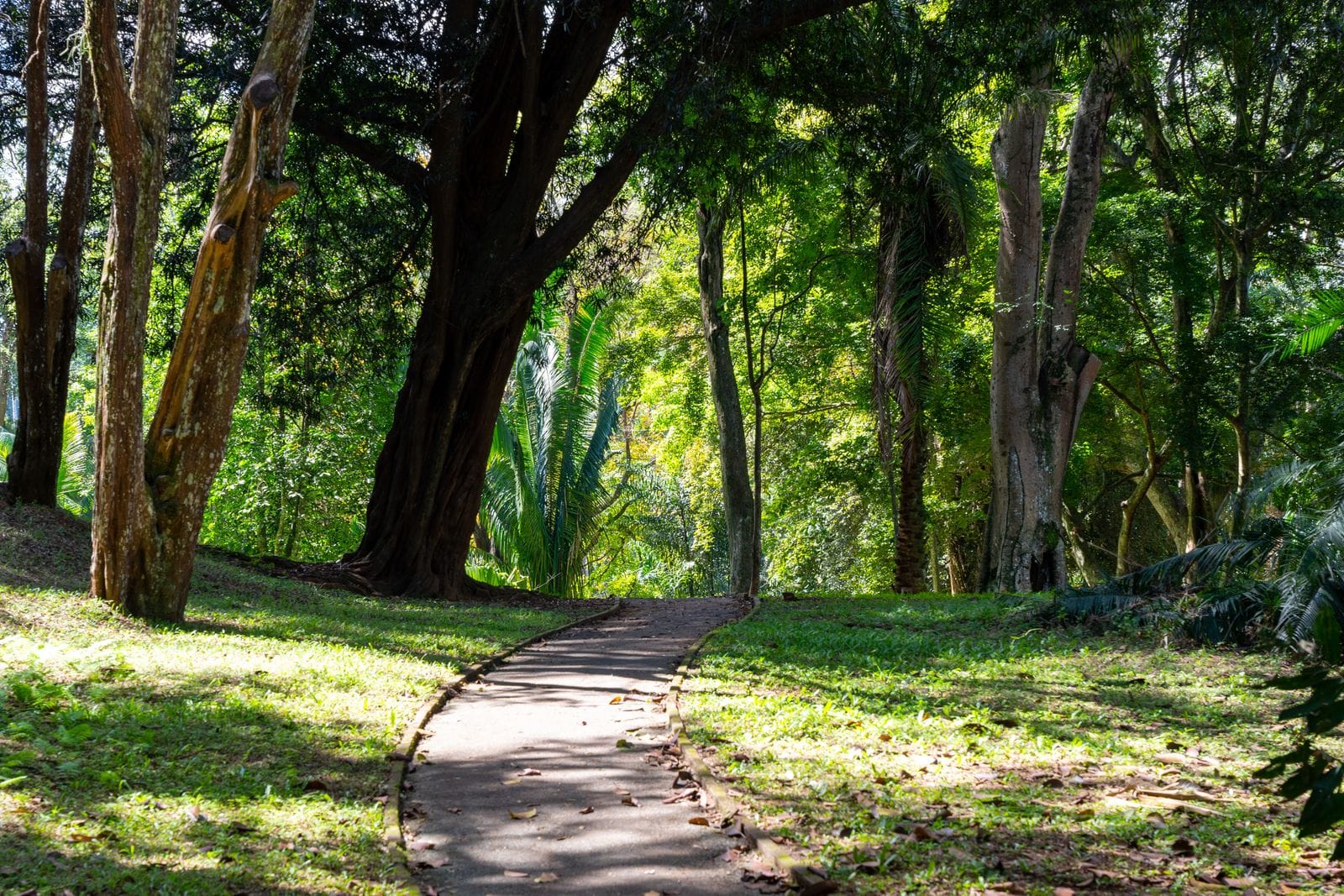 Discovering Inner Peace At Nilambe Buddhist Meditation Centre - Sri Lanka Travel